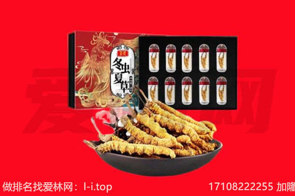 昔阳县回收虫草.jpg